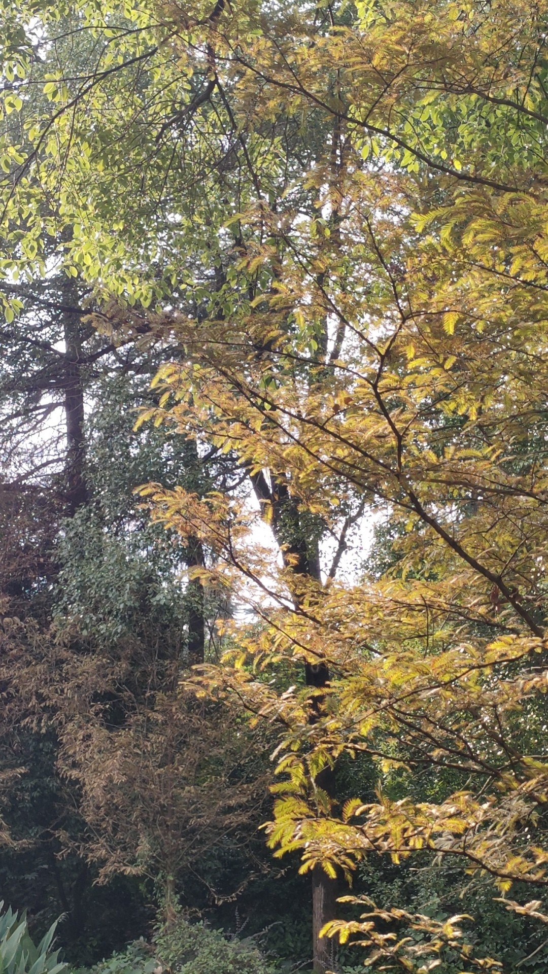 女朋友和1000万选哪一个...