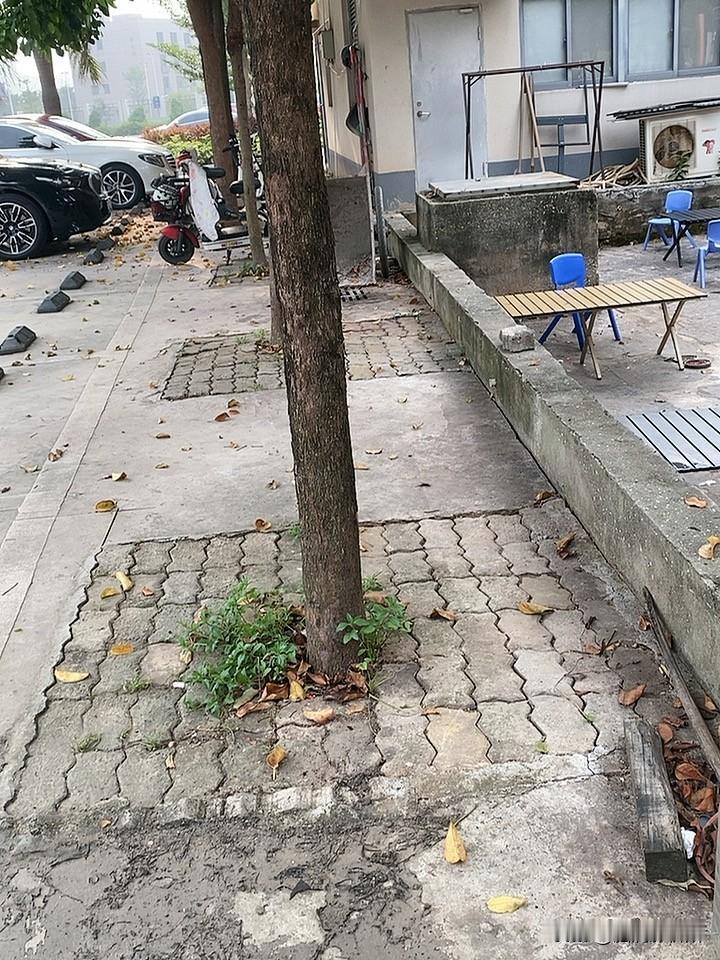 你能接受孩子不结婚,不生小孩吗?你能接受孩子不结婚,不生小孩吗?现在还是很多丁克