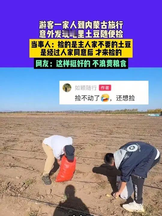 国庆假期，内蒙古多伦县西干沟乡304国道旁呈现出一番奇特景象。约50辆车首尾相连