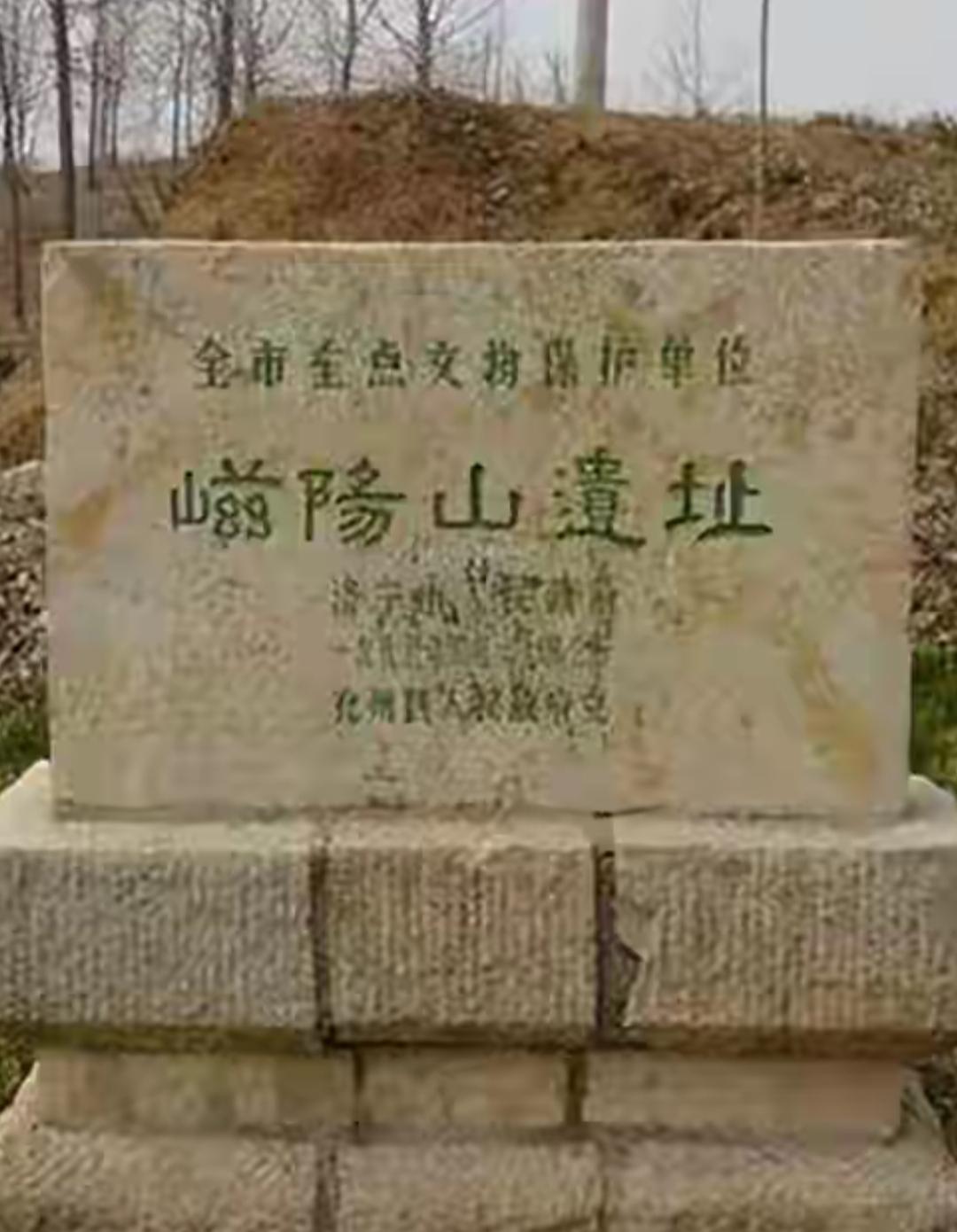 一块刻着“阳山遗址”的石碑。这是什么山⛰️有没有山东鲁西南兖州的老乡，这个地方还