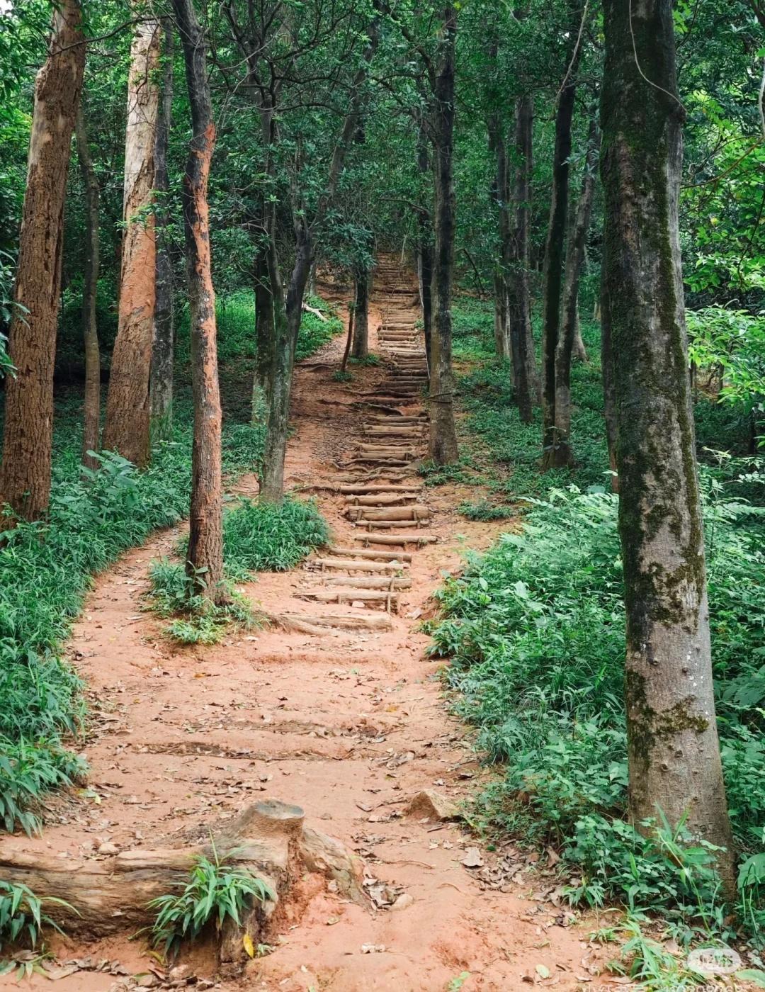 5条深圳市区的超美野徒路线，每周可约出发深圳靠山望海，有丰富的户外资源。这5条