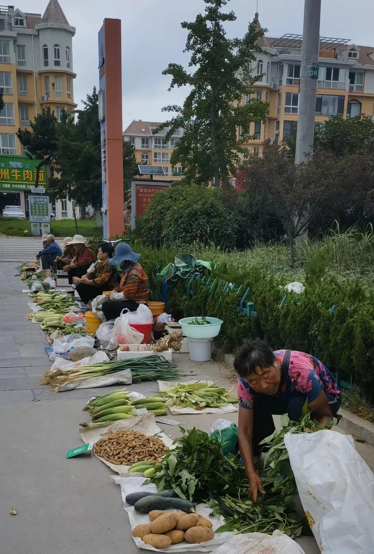 北海街头农家自产的蔬菜，纯天然的绿色食品，每天数量不多，都是一小堆一小堆的，价钱