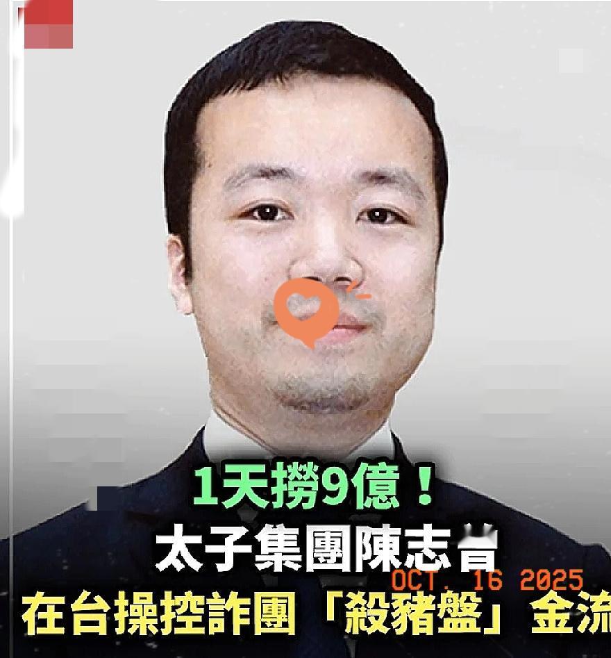 嘿，要说这陈志，福建人跑去柬埔寨成了首富，却是KK诈骗园区的幕后大老板。当事国拿