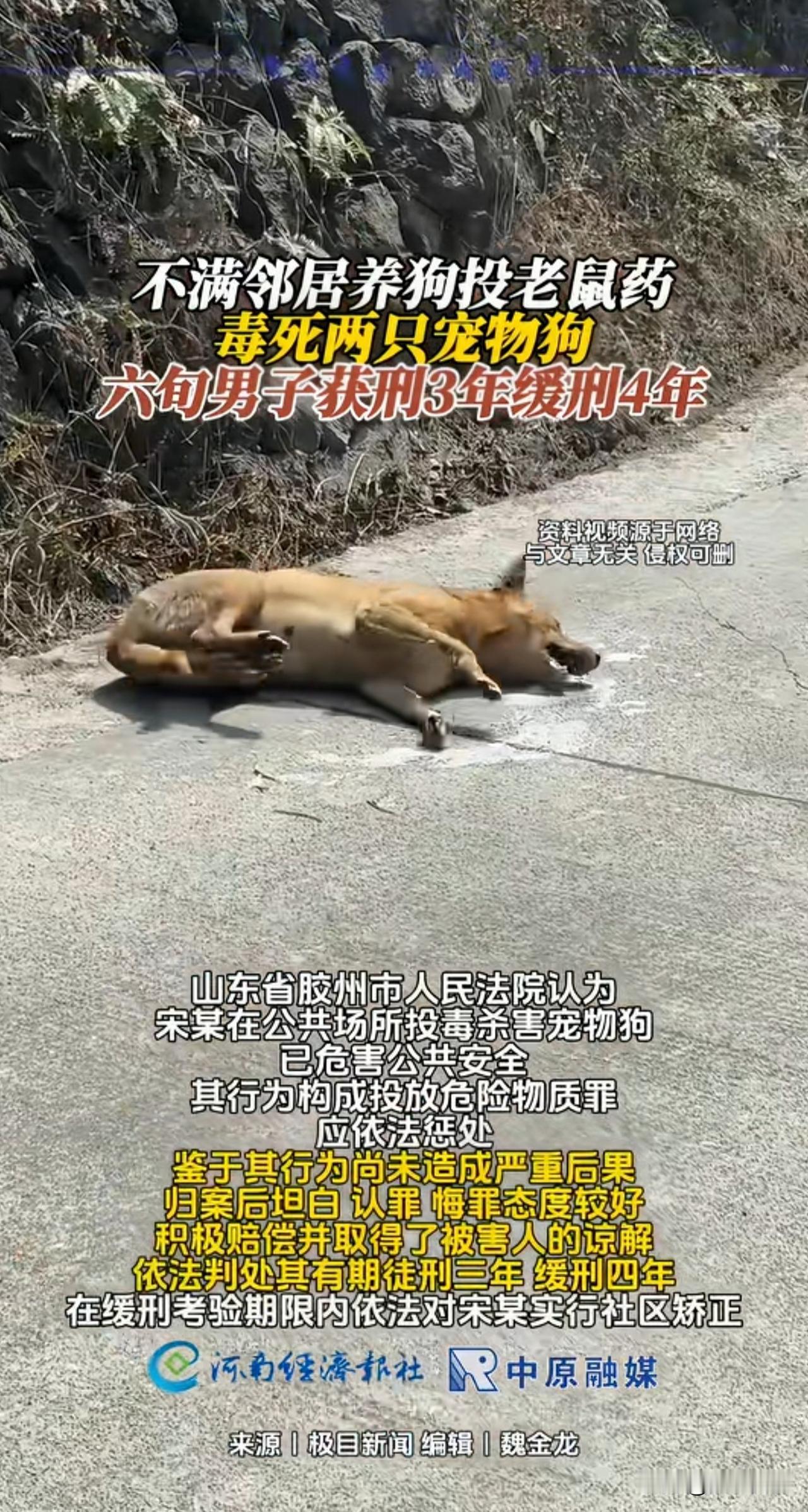 “又是无知惹的祸！”山东胶州，一六旬大爷邻居家养了两只狗，因大爷觉得邻居的狗扰民