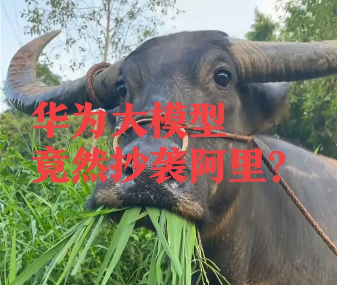 华为盘古大模型抄袭阿里？这个话题这几天非常火爆。我看到后觉得很不可思议：浓眉大