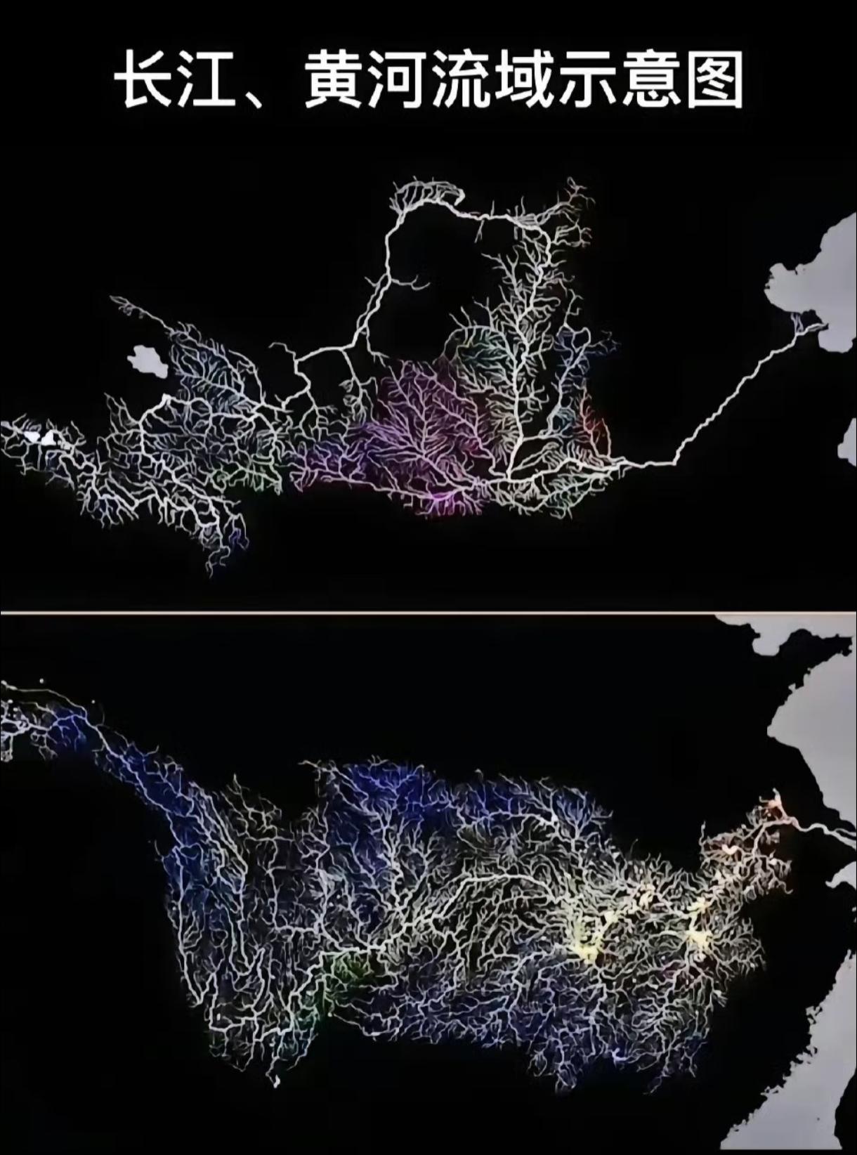 长江、黄河每年都有数千万条淡水鱼，被冲入大海，它们是怎么活下来的？先看长江