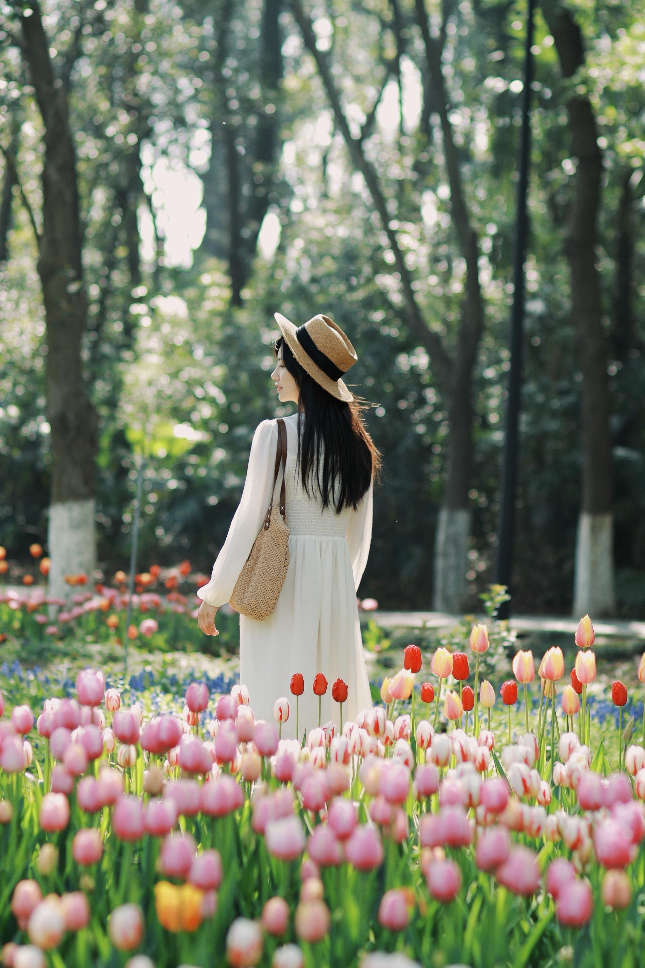 已经开始期待武汉的郁金香🌷。郁金香🌷赏花地： 1.植物园 2.东西...