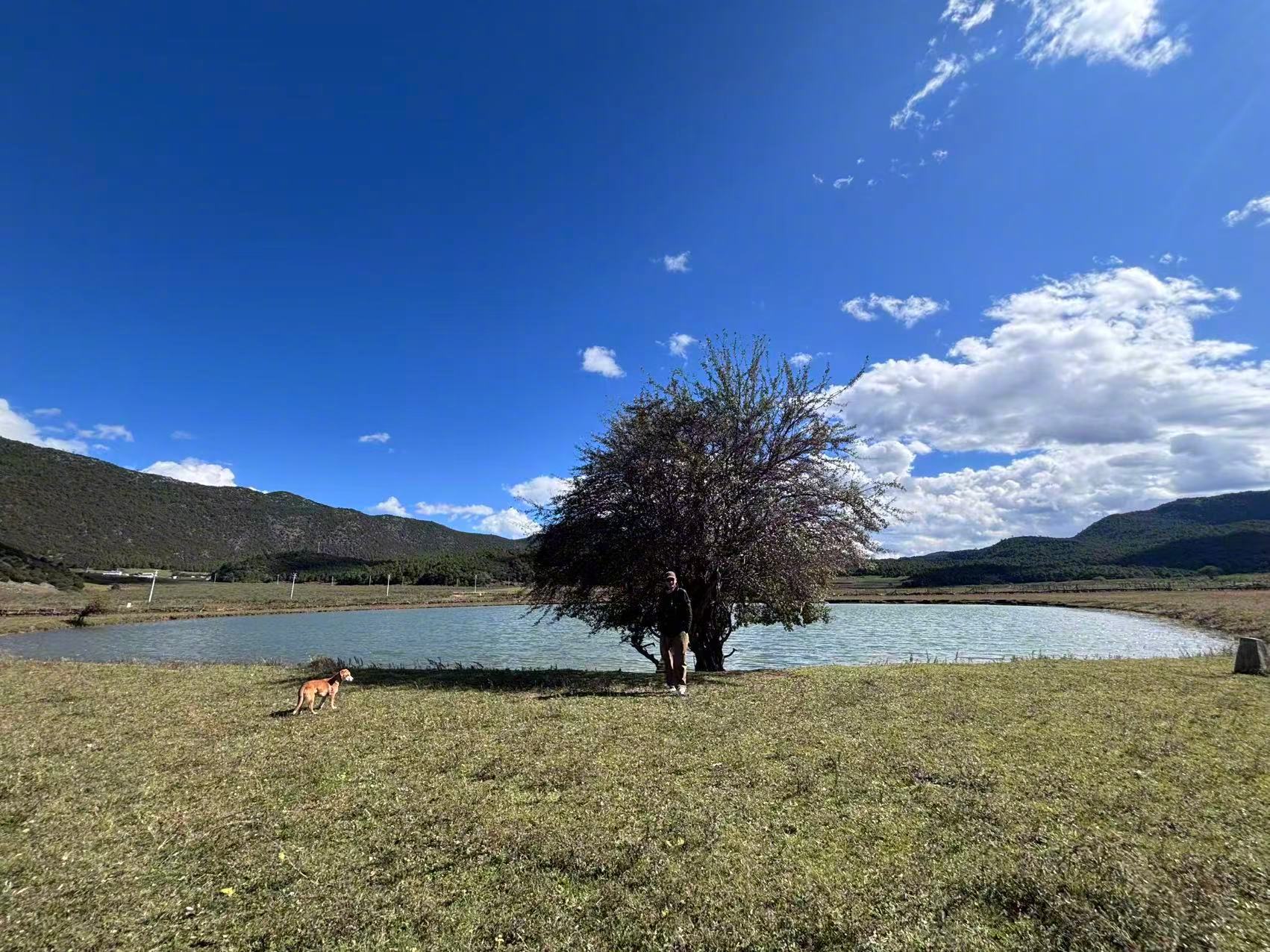 上了年纪才知道，被岁月打败的，不过是假和虚伪，真的，始终会存留下来。———《半山