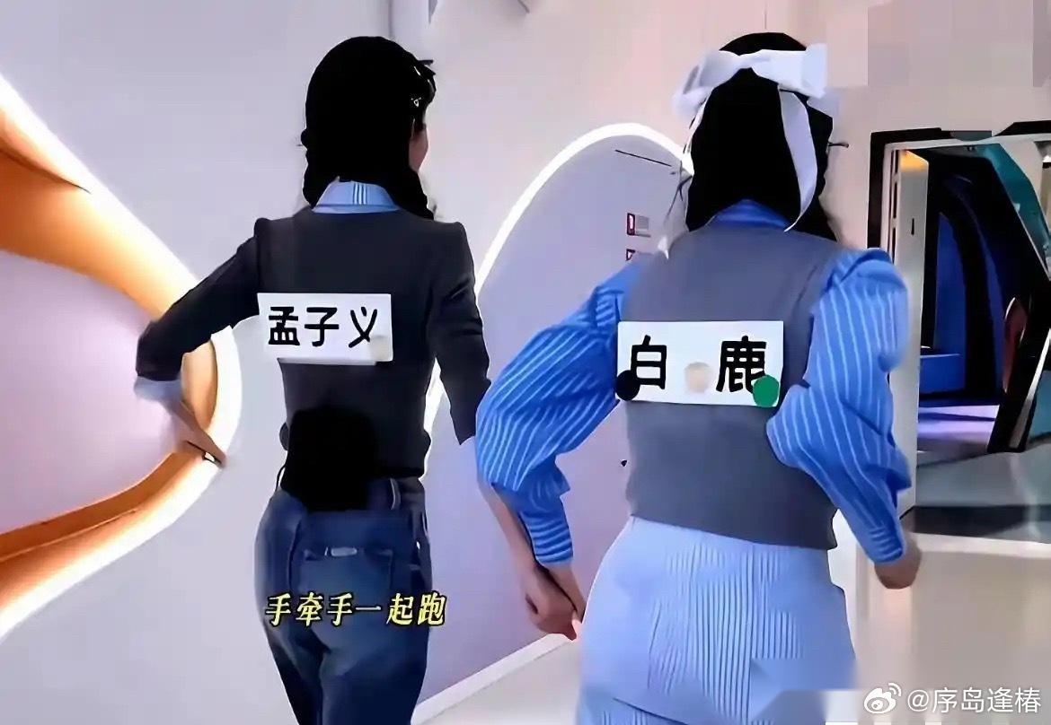以前没注意，直到白鹿和孟子义并排站我才明白什么叫身材的两种极端镜头给到白鹿，我