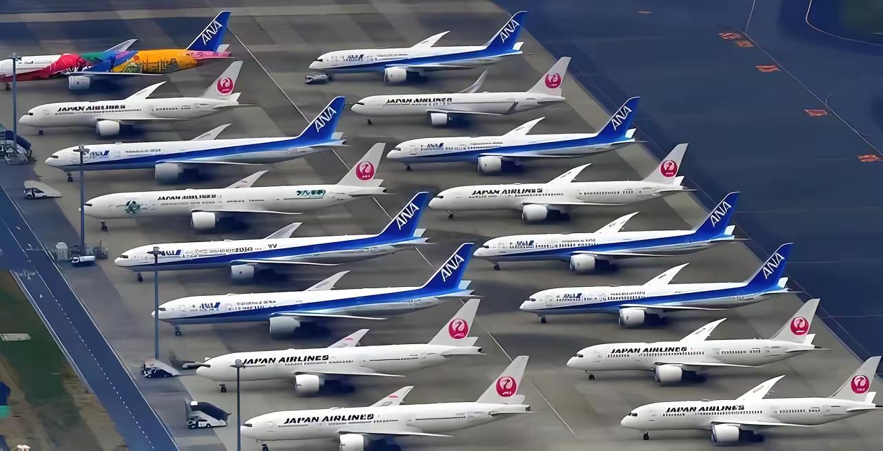 完整榜单来了：52条中日航线2月取消全部航班，这背后到底隐藏着什么不为人知的故事