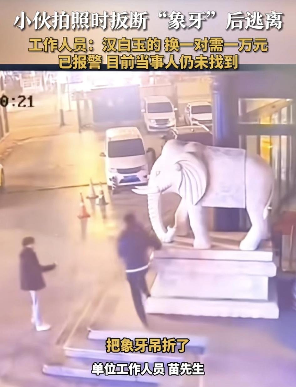 河北沧州两名男子在一单位门前拍照时，意外掰断了汉白玉的大象牙，然后仓皇逃离现场，