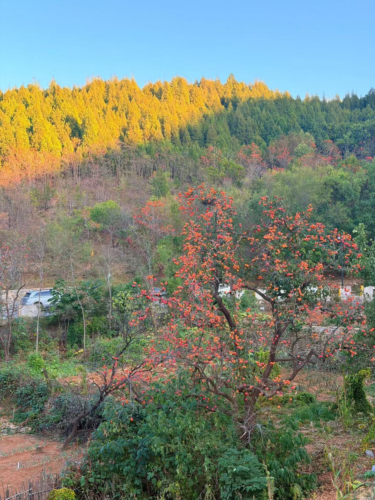 挣钱、花钱也是有玄学的，守住财气，不损耗财气，吸引财气，让钱财倒追。1.适当花