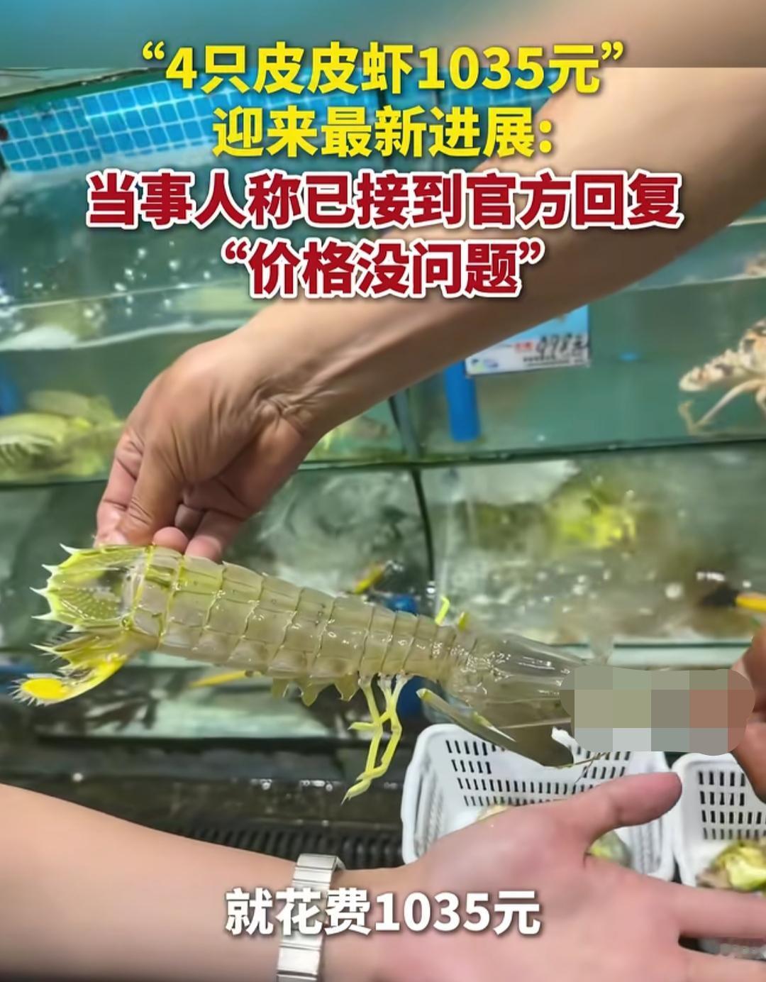 海南三亚“四只皮皮虾卖1035元”的官方回复来了:价格没问题！可即便官方的通报