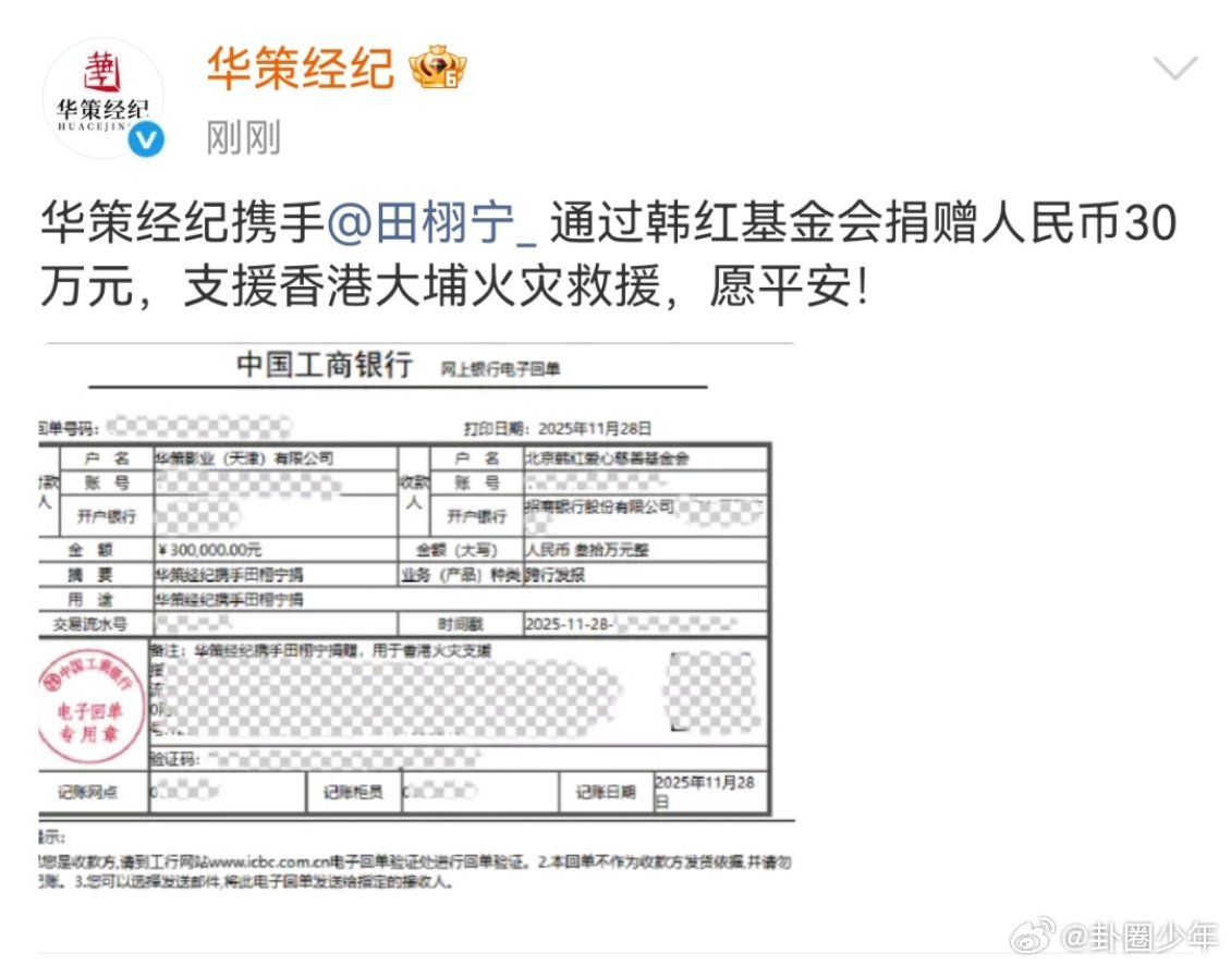 田栩宁香港捐款30万针对香港大埔五级火警的救援需求，田栩宁以30万元人民币捐款