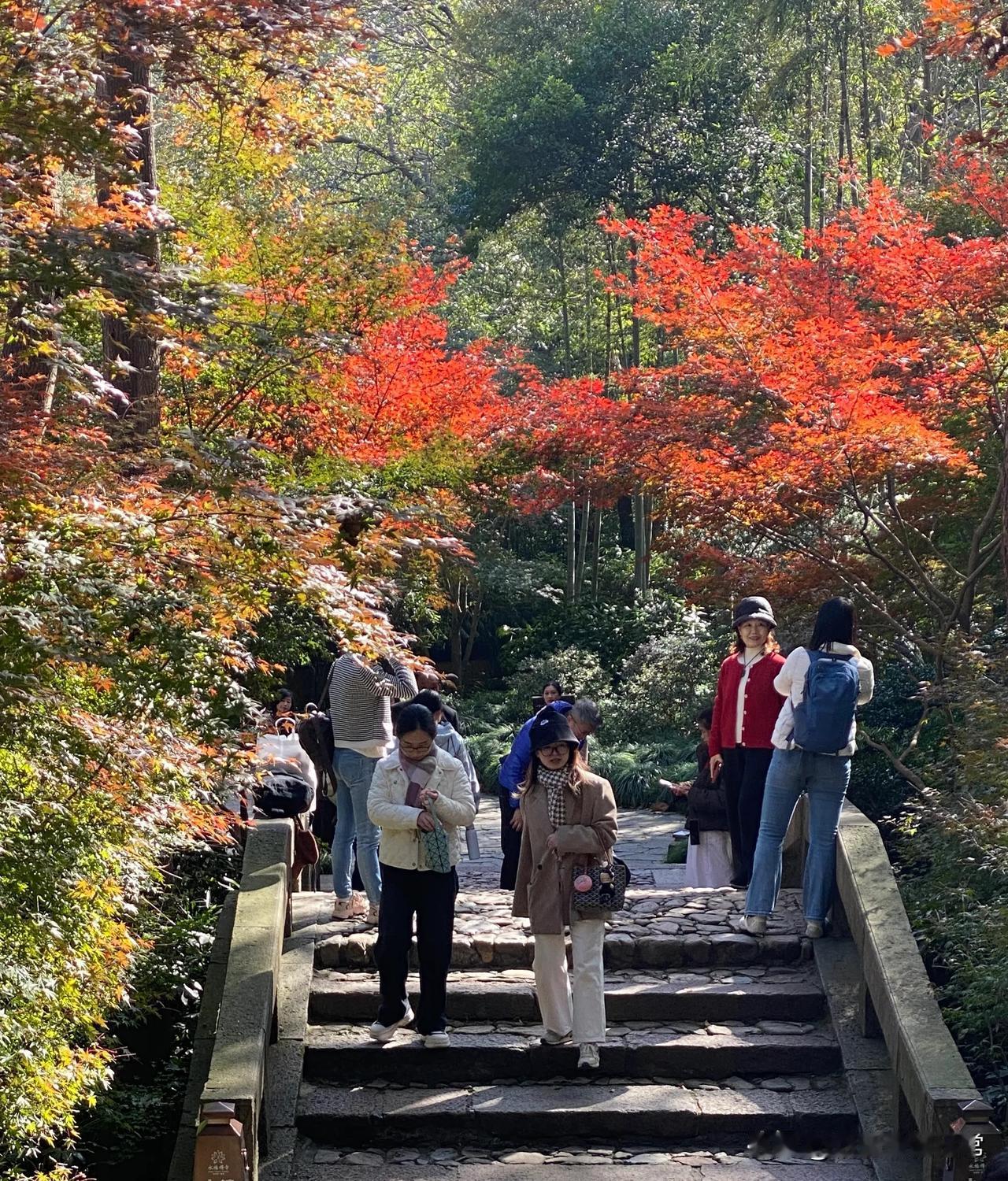 杭州二日游第二天今天是来杭州的重点景点-法喜寺早上九点乘观光车到