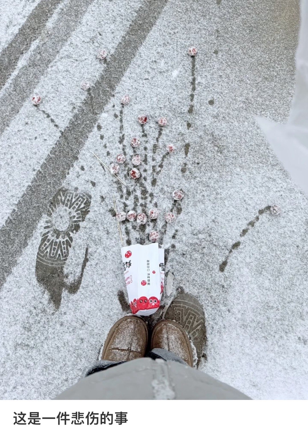 糖炒栗子也能开出一捧花