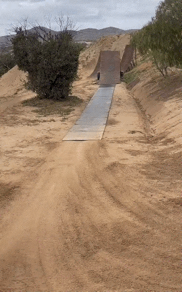 不懂就问，这个是AI吗？