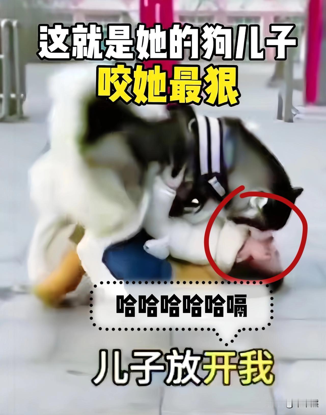 真是自作孽不可活！刷到一个视频，隔着屏幕都觉得疼！一个女的被大狗死死咬住