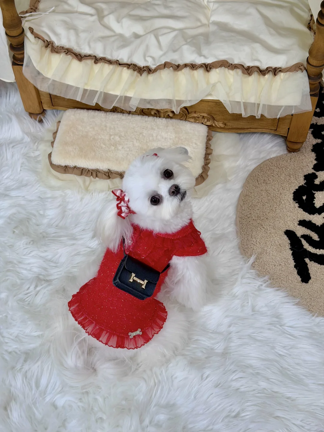 它好像知道自己很漂亮