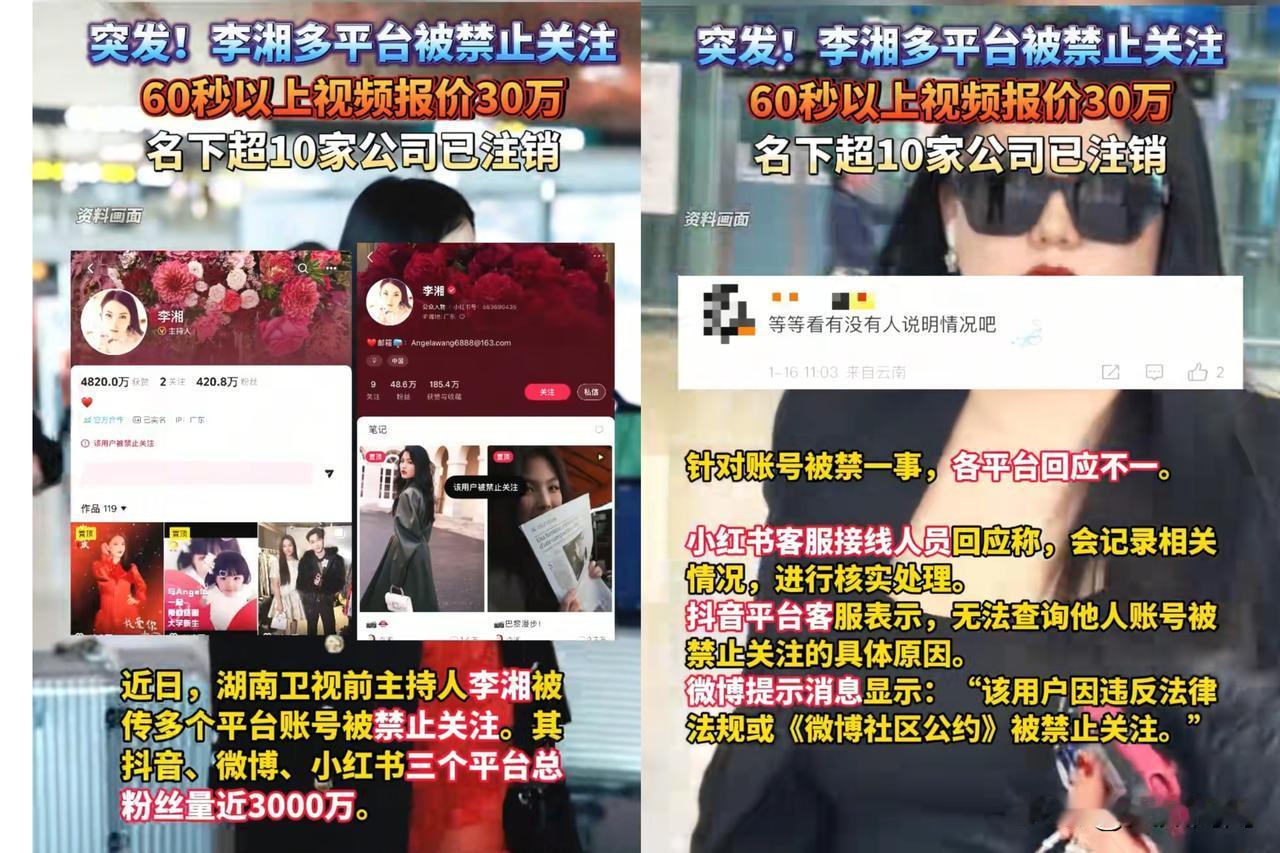 封杀李湘的真正原因，可能不在税上。她女儿的画，才是关键。艺术市场向来是洗钱