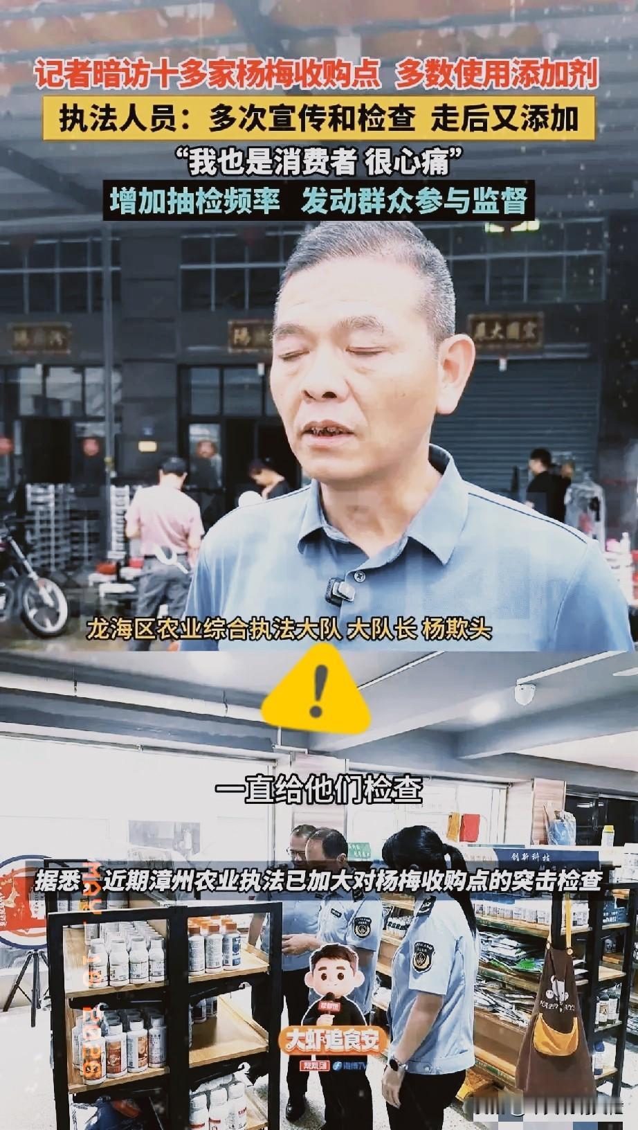 人人都不敢吃杨梅，一年血汗只换来烂果亏本！漳州杨梅出事全网热议，最可怜的还是