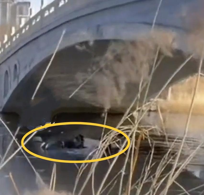 天津这位父亲的义举，改变我对天津男人的看法！面对落水儿童，他义无反顾，跳入冰