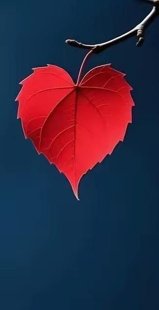 一段非常现实的话：“现在的70后，不管是男人女人，都误以为自己还很年轻，其实，除