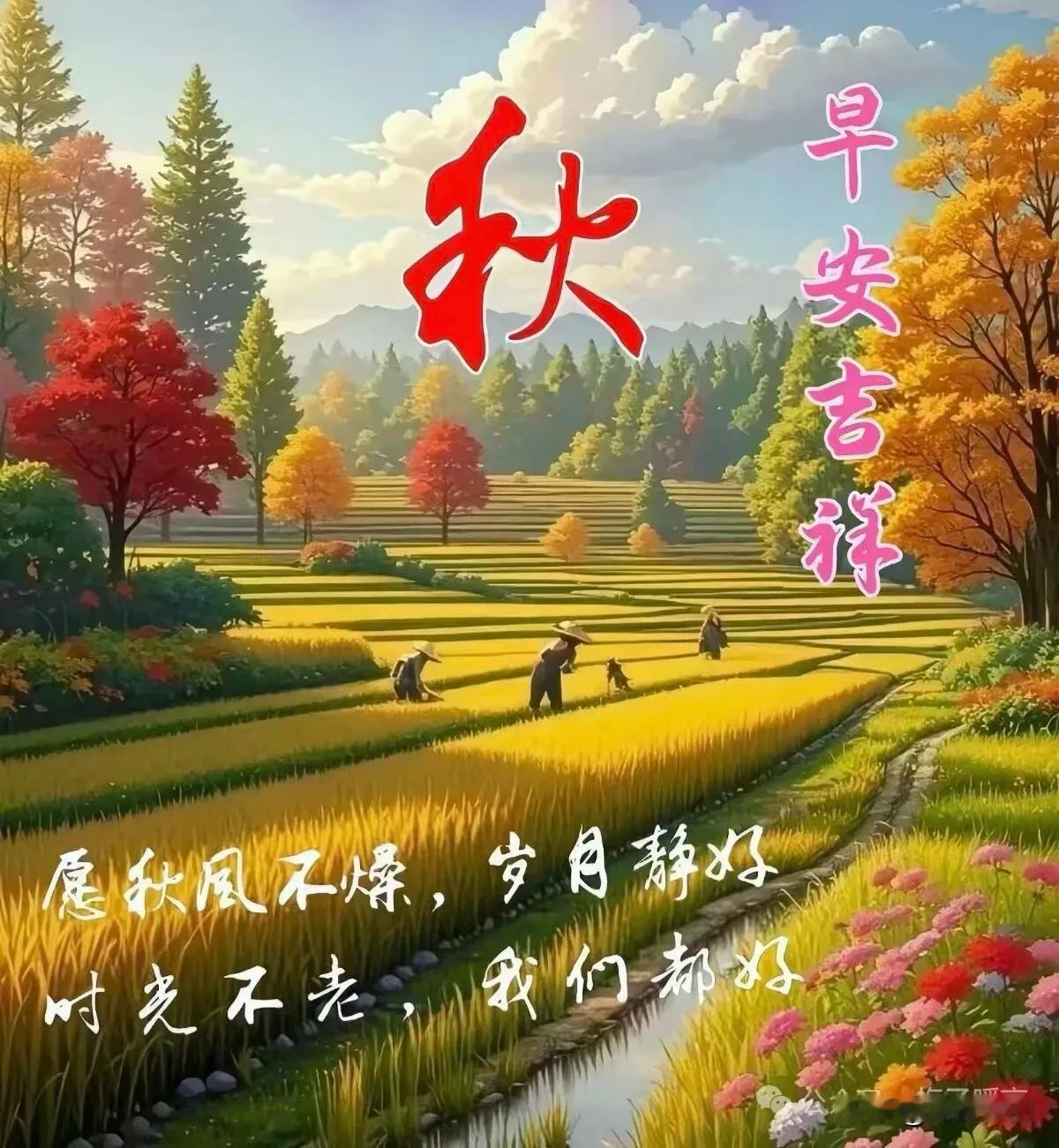 《清平乐·秋欢》秋风轻扫，洗尽人间扰。落叶翩跹无叹悼，静看云天缥缈。