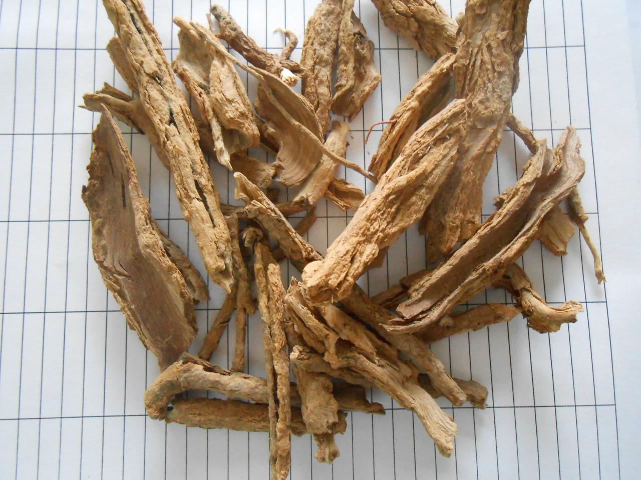 从中药地骨皮作用中得到的一些感悟地骨皮有退热除蒸之效。“退热除蒸”这四个字把