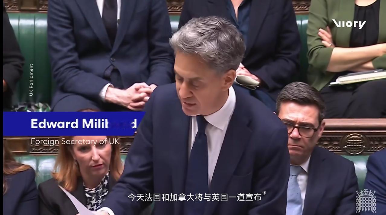英国、法国、加拿大、丹麦、西班牙、芬兰、爱尔兰、冰岛、挪威、波兰、葡萄牙和瑞典发