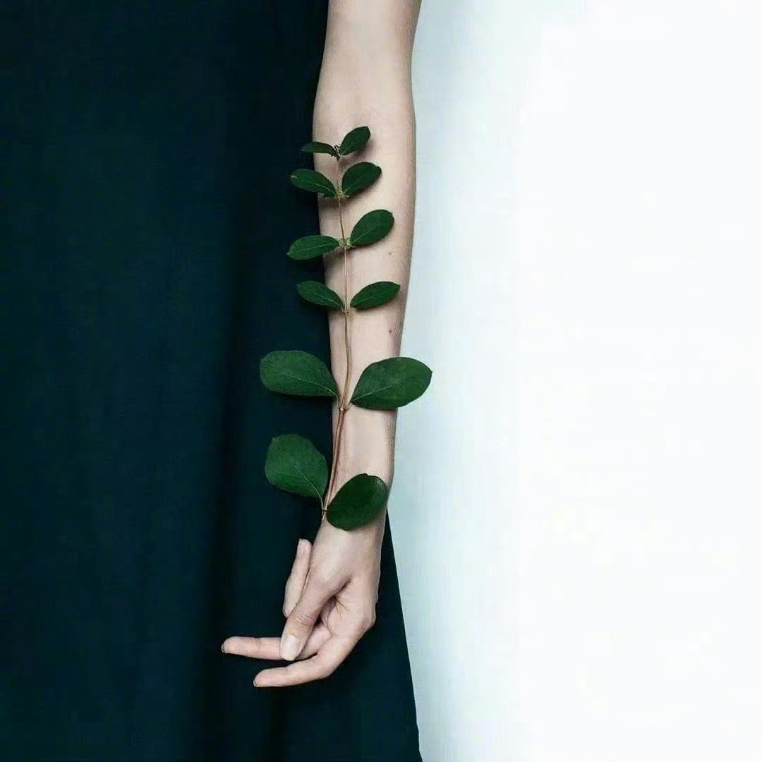 无论哪一个人生阶段，成长和更新自己，才是这个人世间最好的庇护场所，可化解人生中所