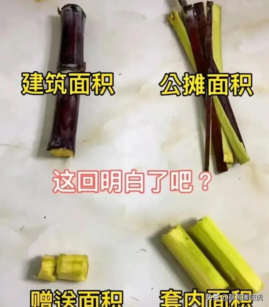 不得不说，这对比我居然无法反驳！[捂脸哭][捂脸哭][捂脸哭]