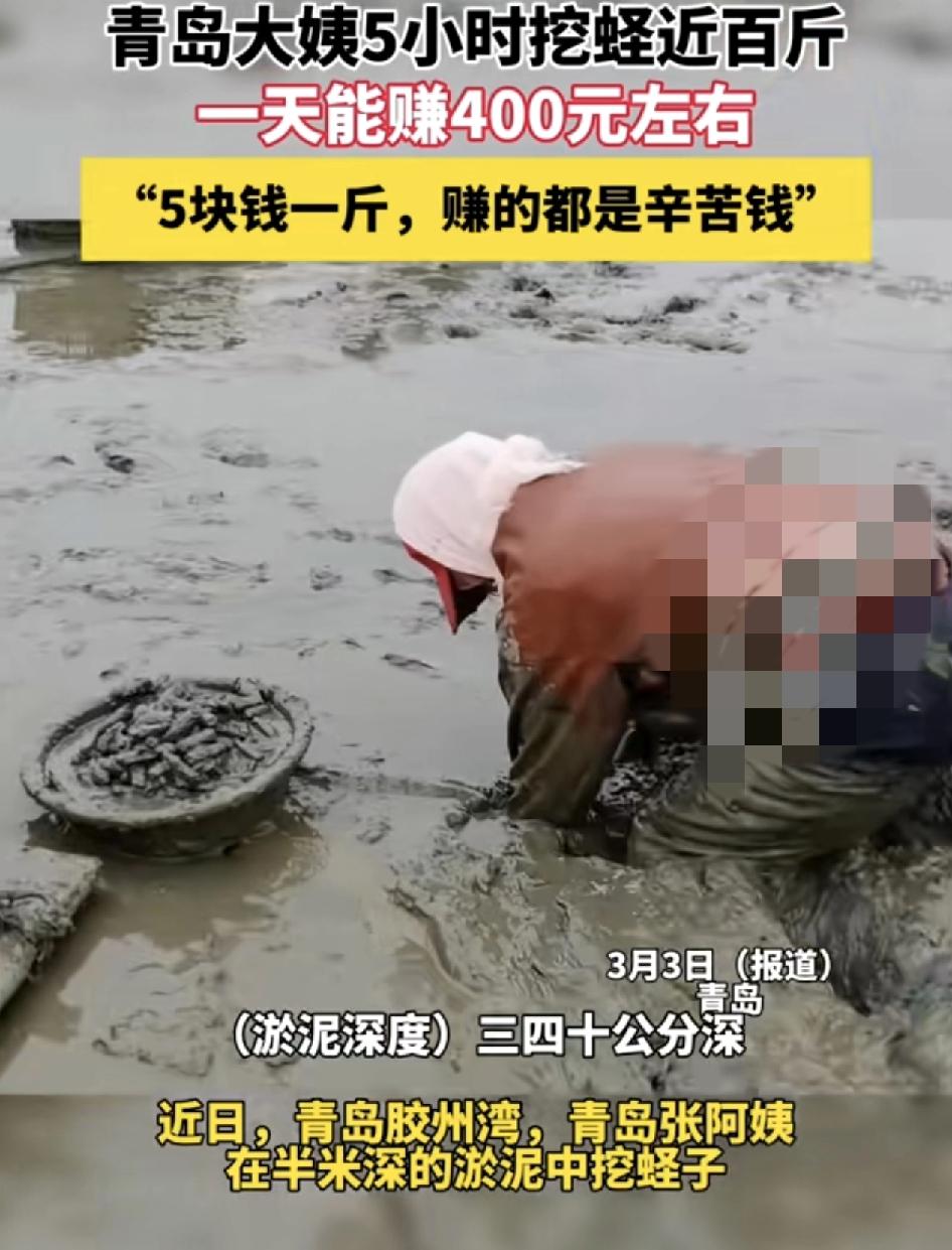 青岛阿姨半米深蹬泥5小时挖蛏子近百斤，他们用的是自己制作的浮板，踩在板上滑行。趁
