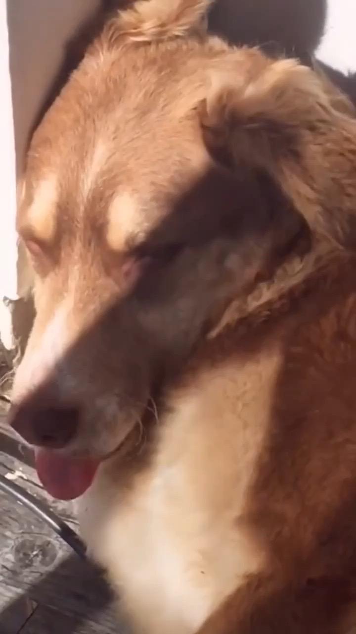 睡着了还加餐