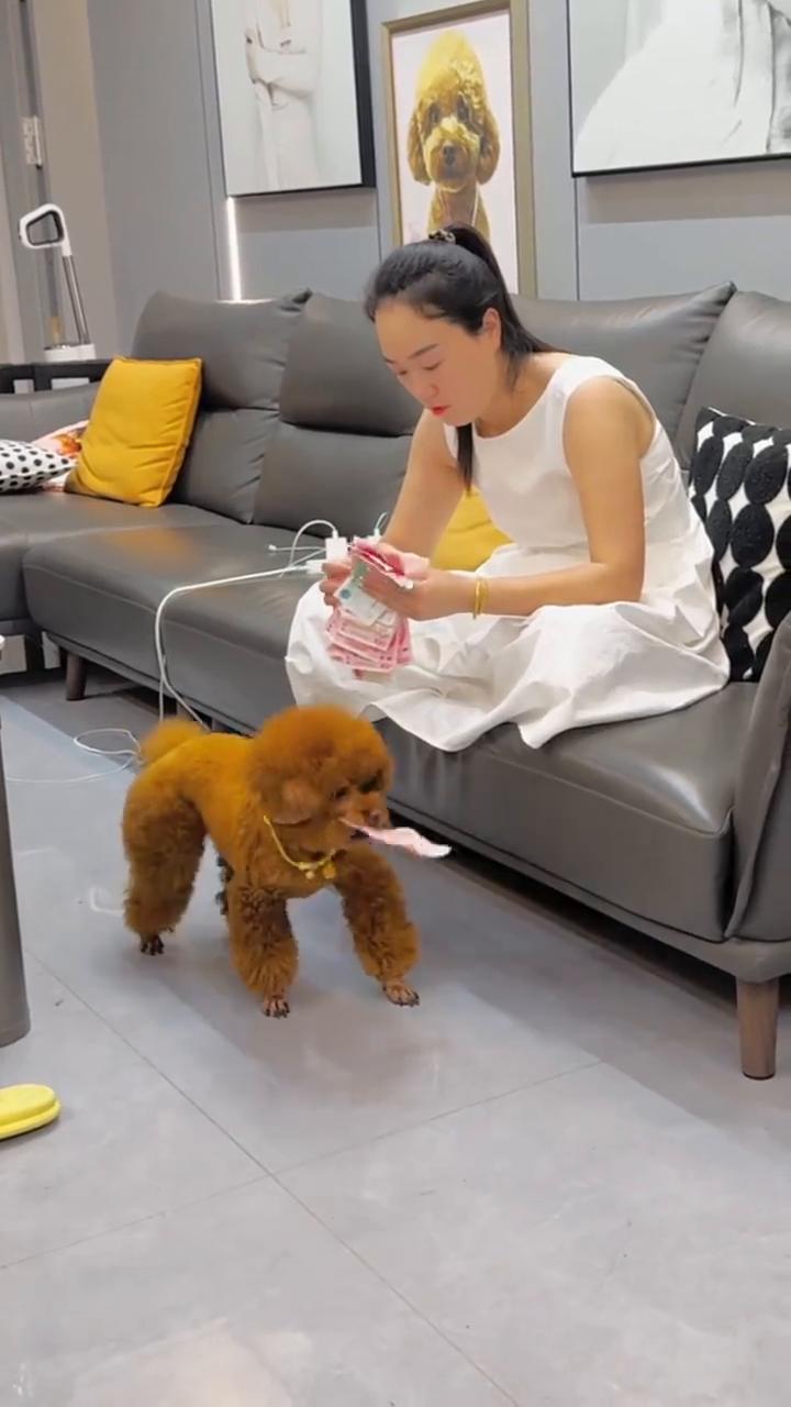 怎么又少了100？天天少钱。