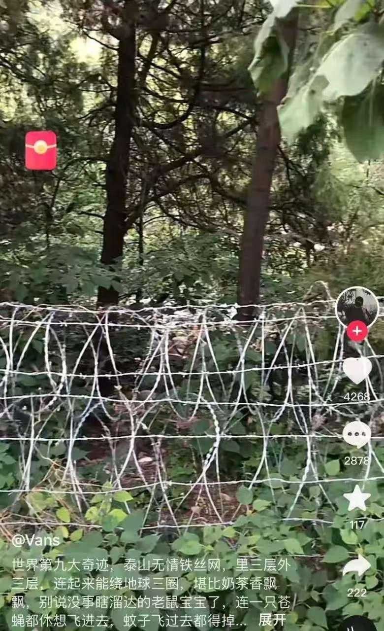 吃相是否太难看？围住了泰山，闹腾了人心，五岳独尊的泰山耗费2519万元，被1