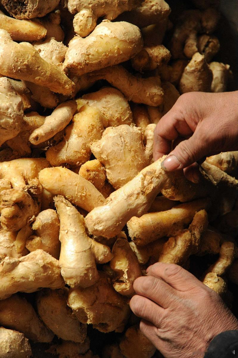 吃生姜要不要去皮？记住这5个原则，养生不吃亏！老祖宗留下的“吃姜不去皮，吃