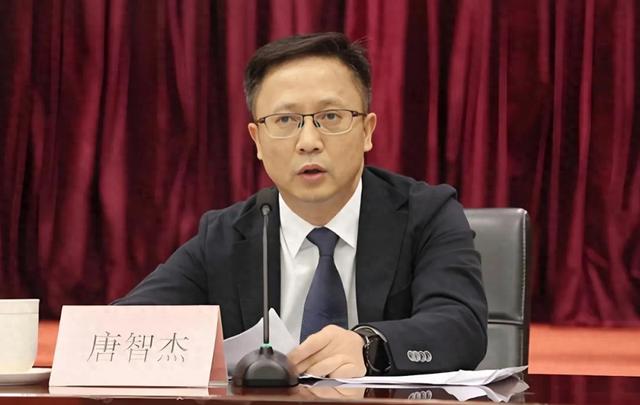 唐智杰, 调职安徽