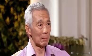 新加坡，怕是真的有点慌了。几十年啊，就守着马六甲那个全世界最忙的路口，舒舒服