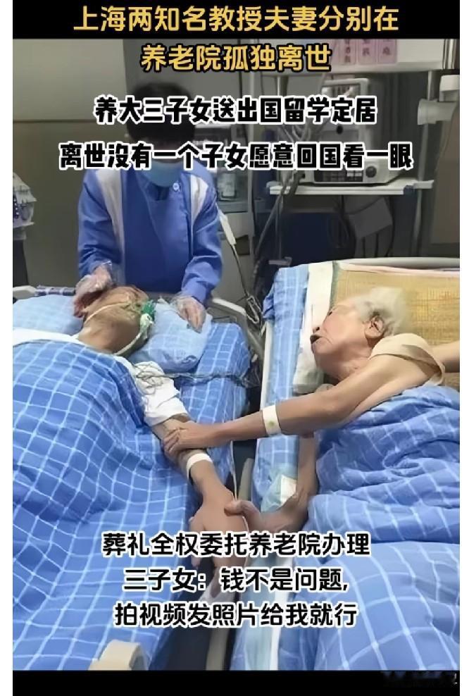 上海2个老教授在养老院分别去逝，三个子女在国外无一回来，并委托养老院办理葬礼，网