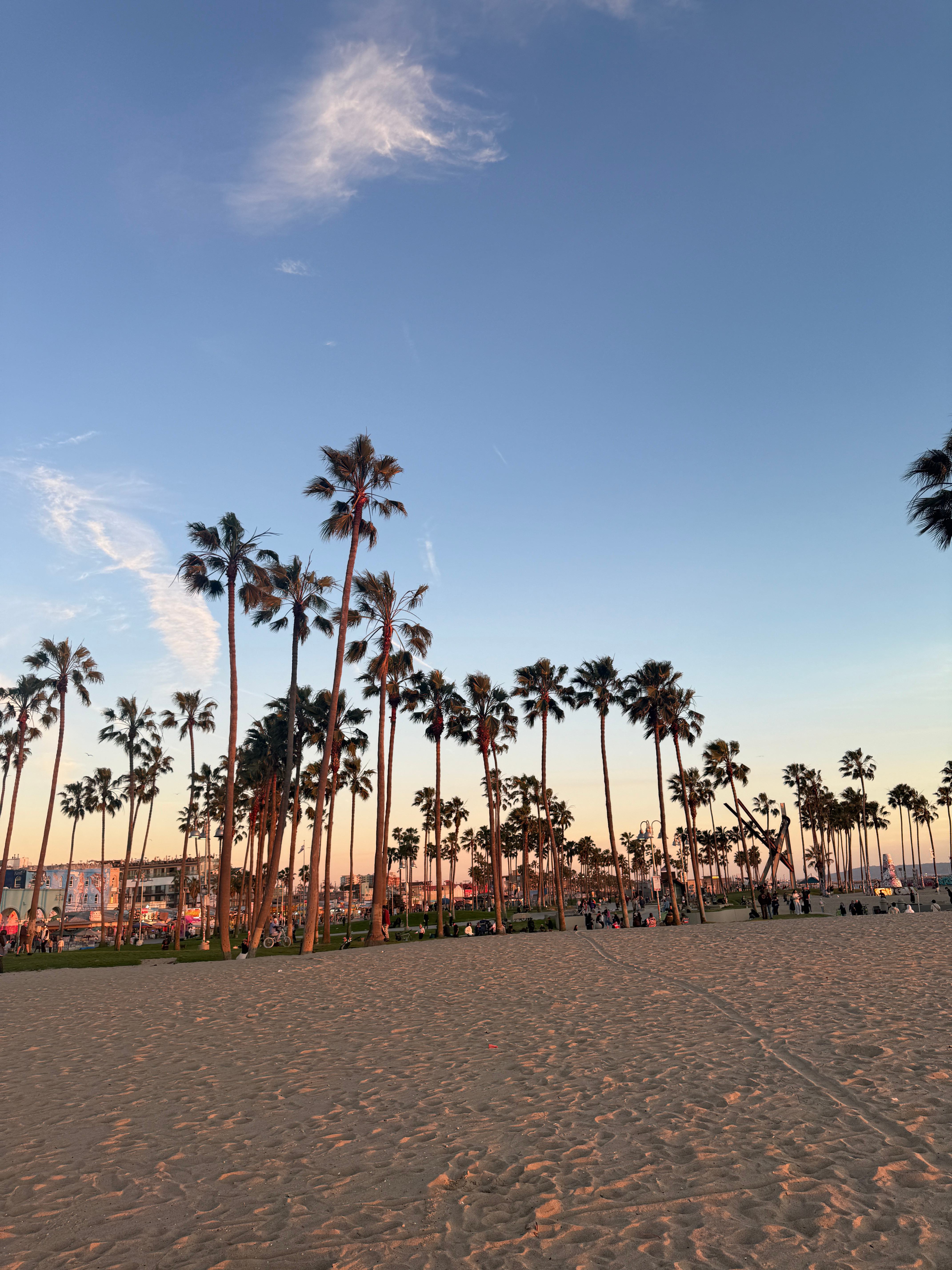 真的很喜欢暖和的地方美国·比弗利山庄