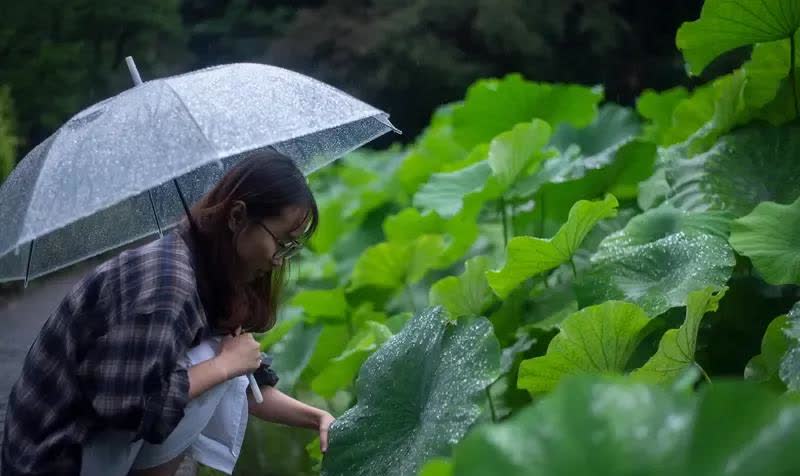外面下着小雨，淅淅沥沥的。远处的天朦朦胧胧，让人感到有点压抑。温度虽然不高，由于