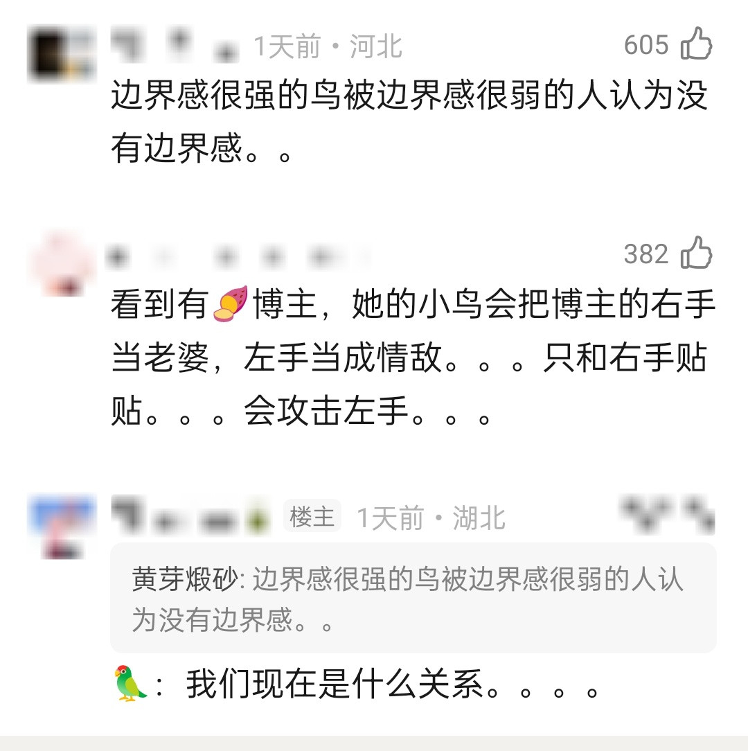 鹦鹉得到了错误的信号