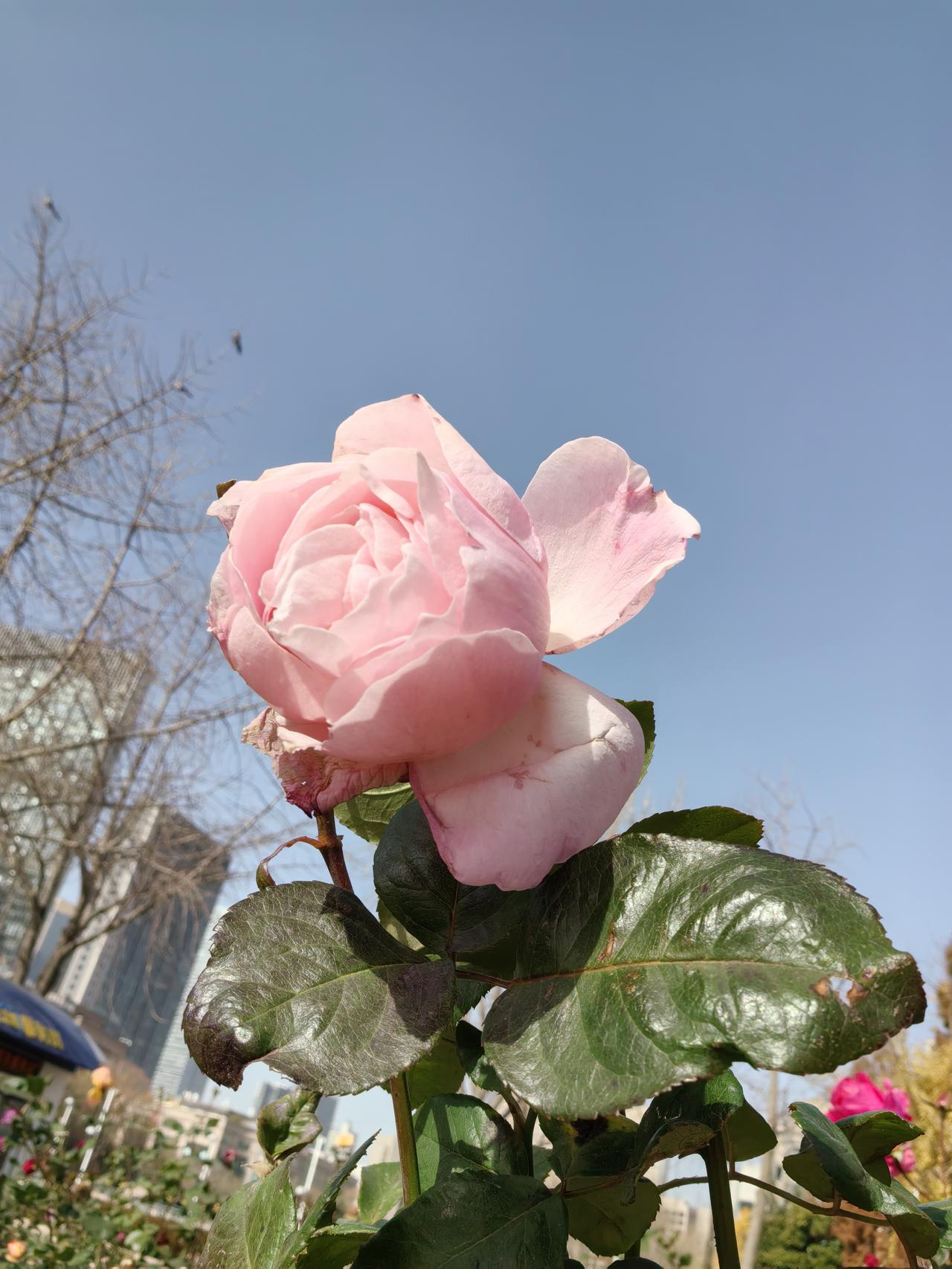 女同事离婚，两孩子一个也不要。一年后才知道同事的做法有多么正确。小女儿出生一