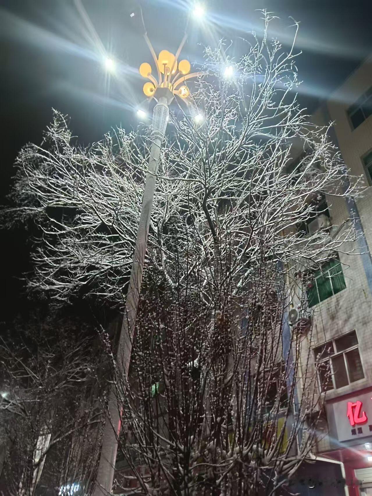 不作S就不会S，昨晚小区一个年轻女子猝S了，才27岁未婚，今天他父母来收拾她的