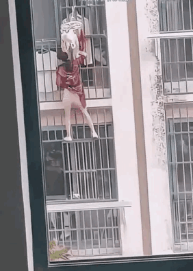 这什么情况，就不能走正门么[捂脸哭][捂脸哭][捂脸哭]