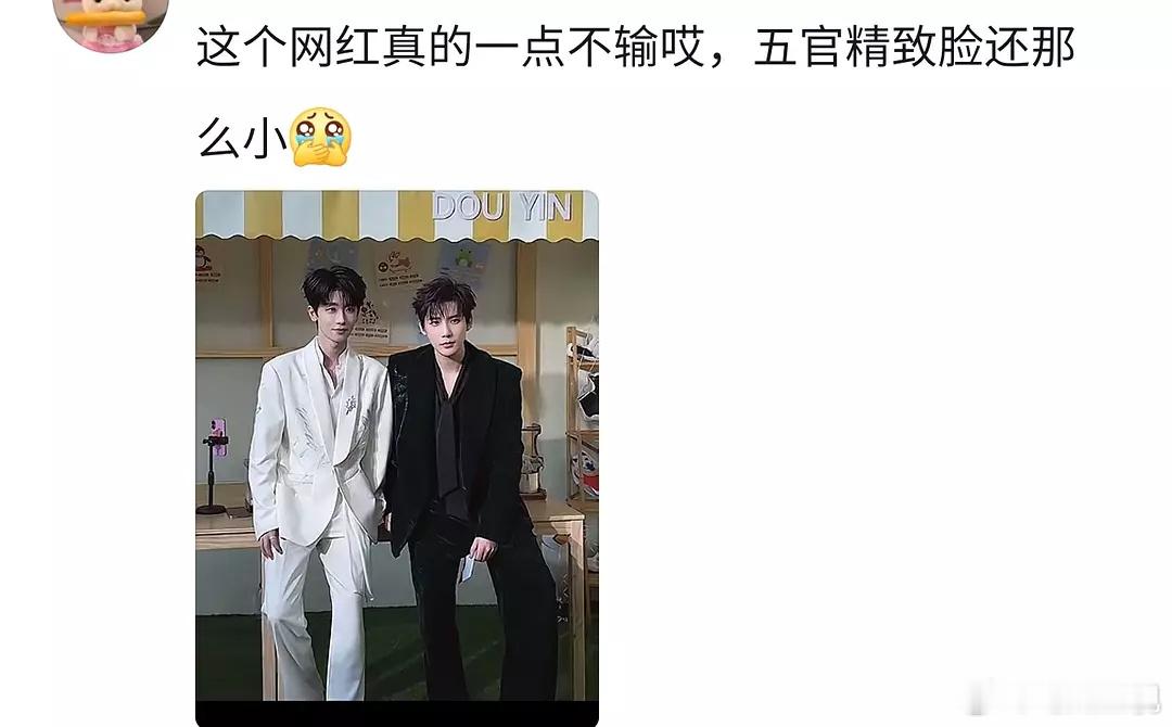 怎么会有人觉得网红比王安宇好看啊？五官完全吊打啊​​​