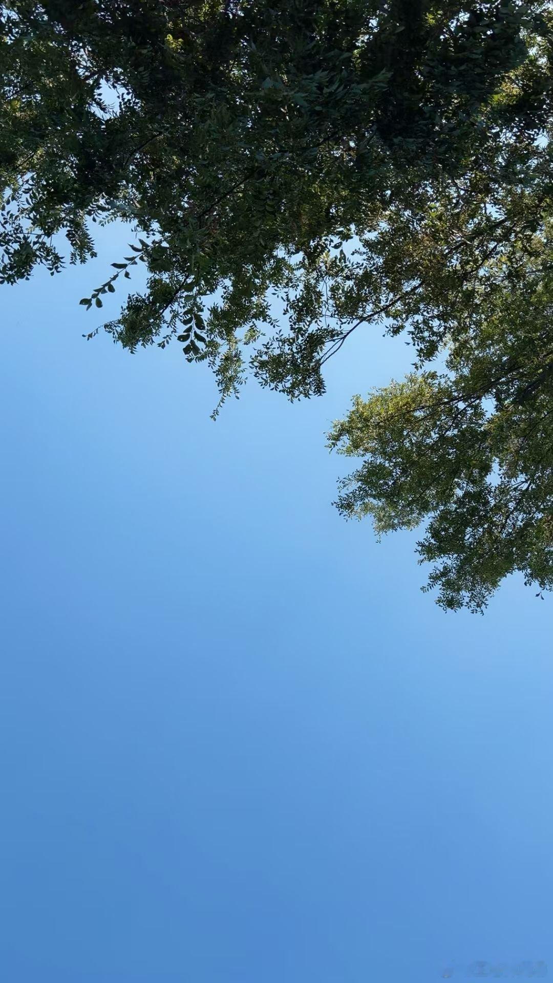 风水的最高境界望气术社会上大多数的风水师看风水，只能简单看看形