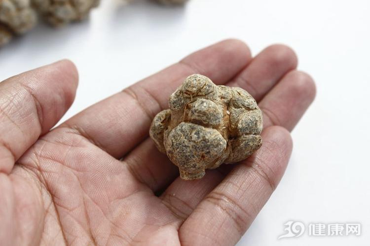 三七是“血管守护神”! 坚持吃, 心血管有三大变化