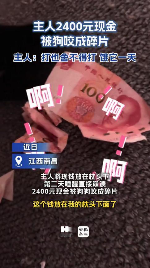 “防不胜防！”11月24日，江西南昌，一女子将2400元现金放在枕头下，随后就休